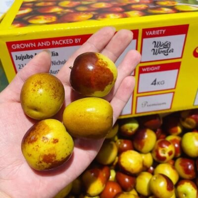 Super Sweet Winter Wonder Dates, 500g Gourmet Grocer Super Sweet Winter Wonder Dates, 500g