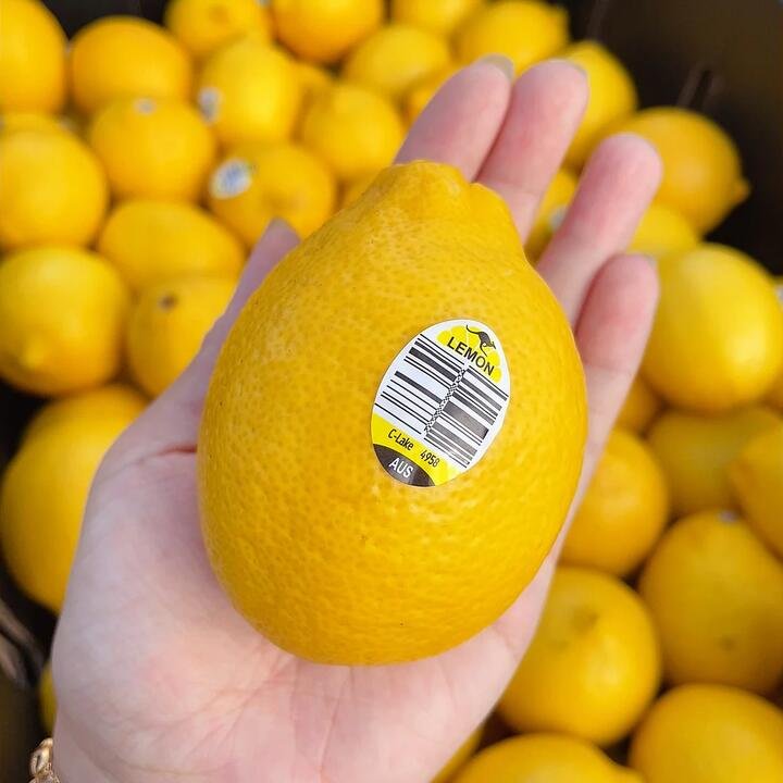 Lemons, Pack of 4 Gourmet Grocer Lemons, Pack of 4