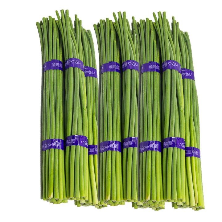 Bundle of Garlic Scapes