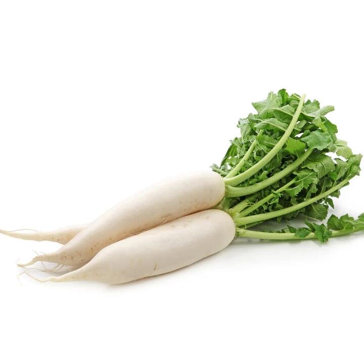 White Radish, 1 Root