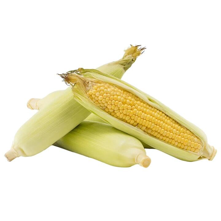 2 Corn Cobs