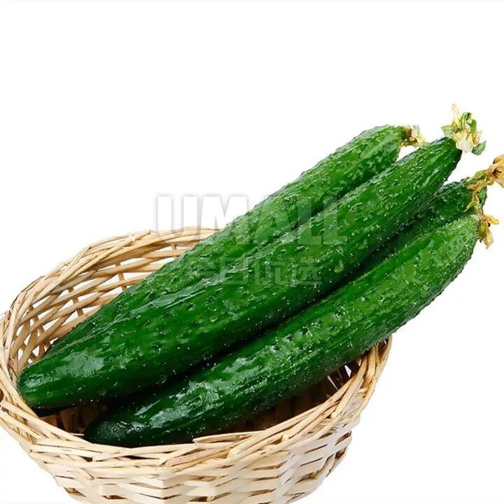Spiny Cucumber, 1kg
