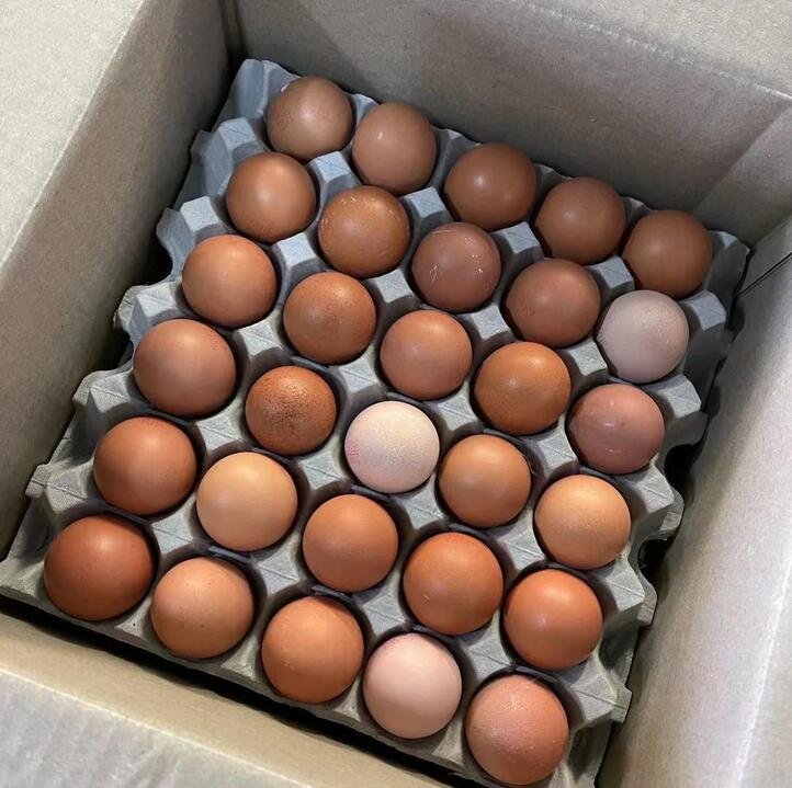 Small Hen's Newborn Eggs, Full Case of 30, 1.25kg