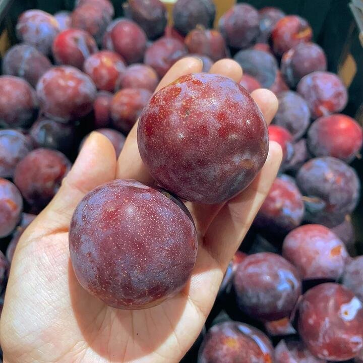 Red Flesh Plums – 1kg Gourmet Grocer Red Flesh Plums - 1kg