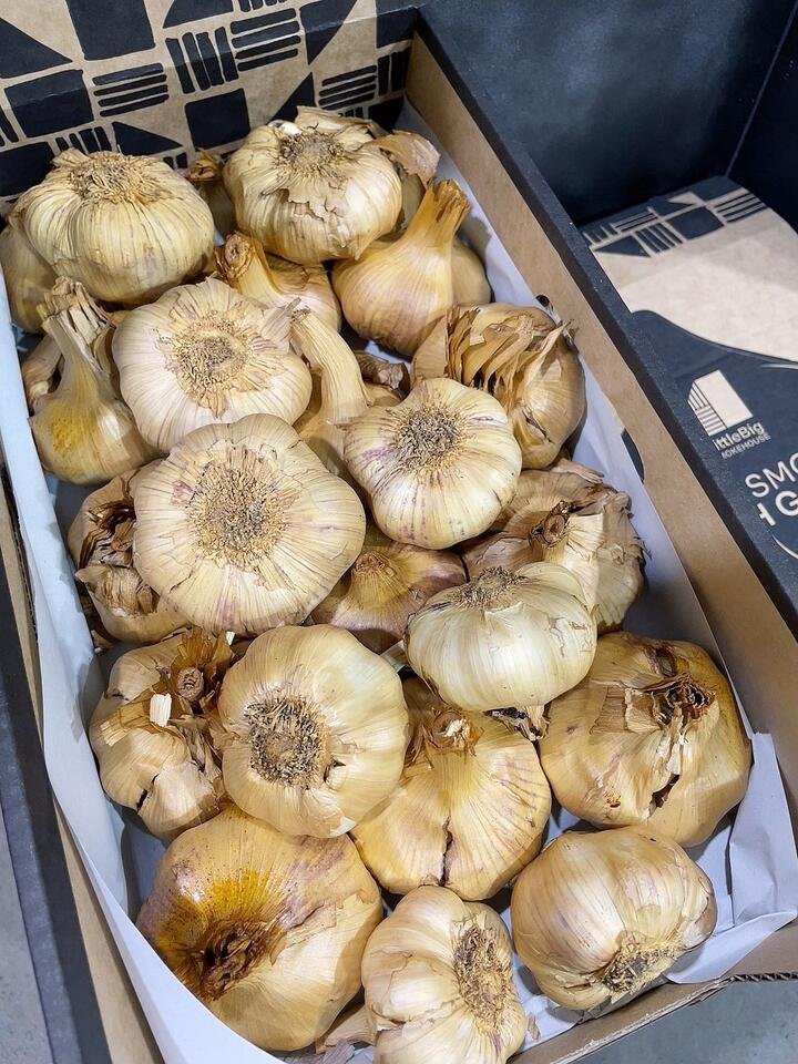 LittleBig Smokehouse Cold Smoked Fresh Garlic – 250-300g Gourmet Grocer LittleBig Smokehouse Cold Smoked Fresh Garlic - 250-300g