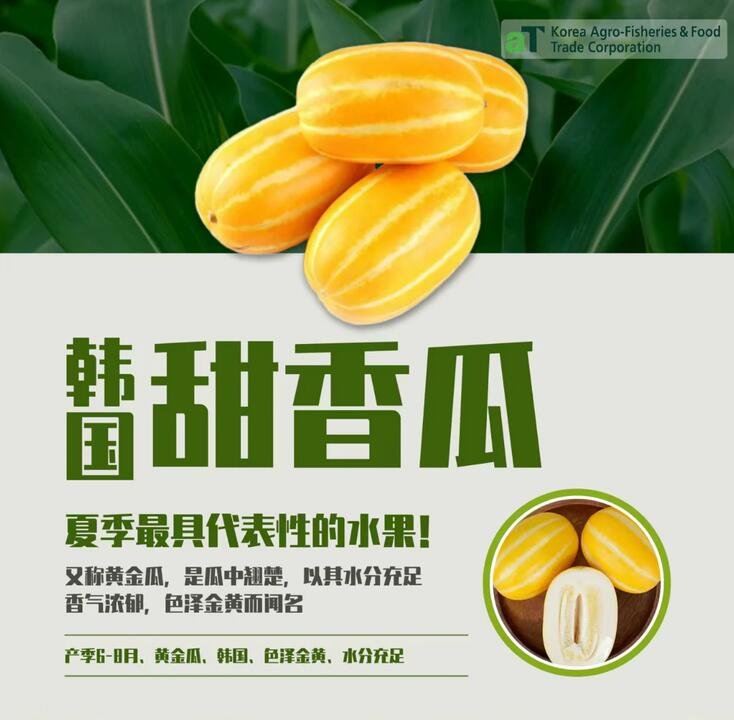 Korean Sweet Melon - 1 Piece