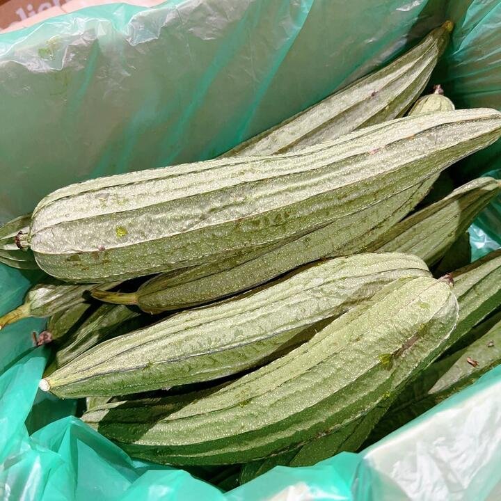 Ridge Gourd - 1 Piece
