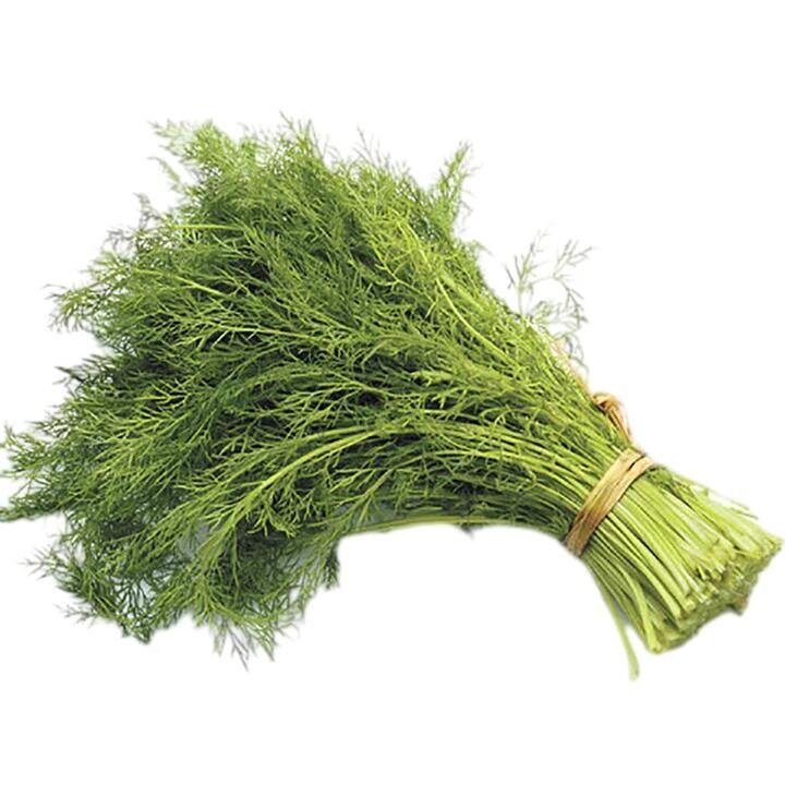 Fresh Dill - 1 Bundle