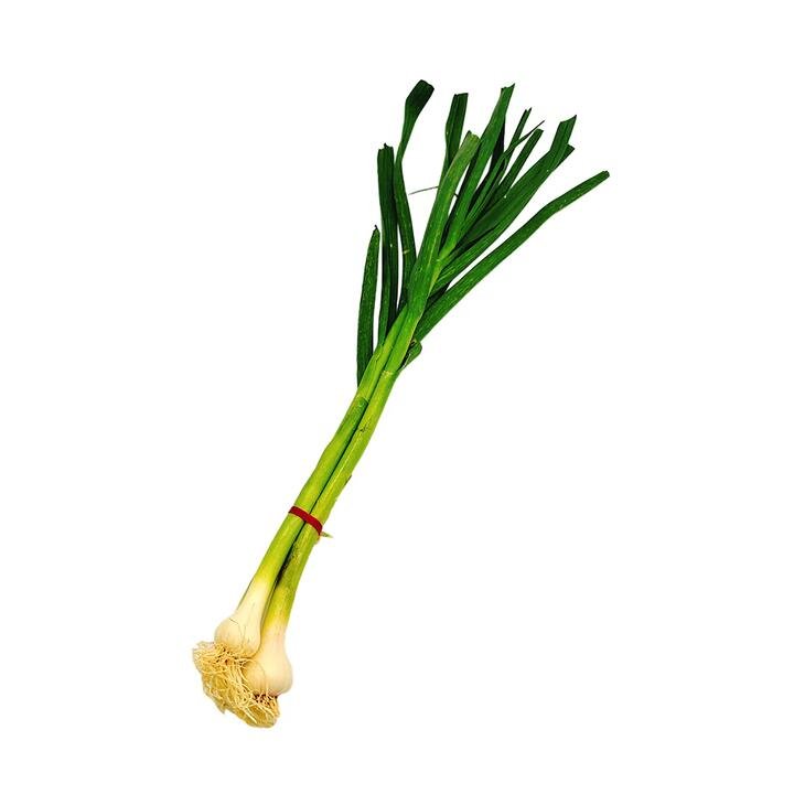 Fresh Garlic Leaves (Green Garlic) – 1 Bundle Gourmet Grocer Fresh Garlic Leaves (Green Garlic) - 1 Bundle