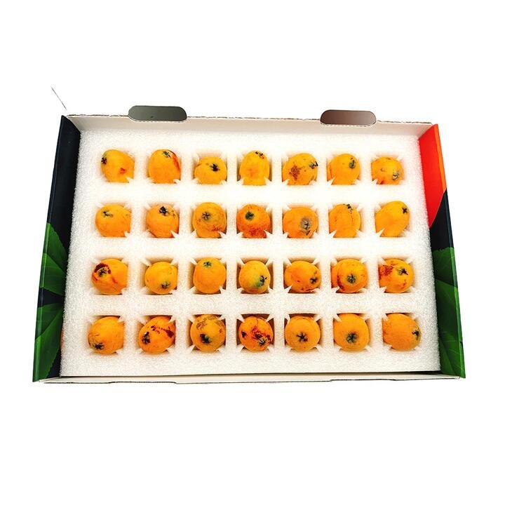 Tehillah Orchard Premium Loquats Gift Box - Large, 1kg