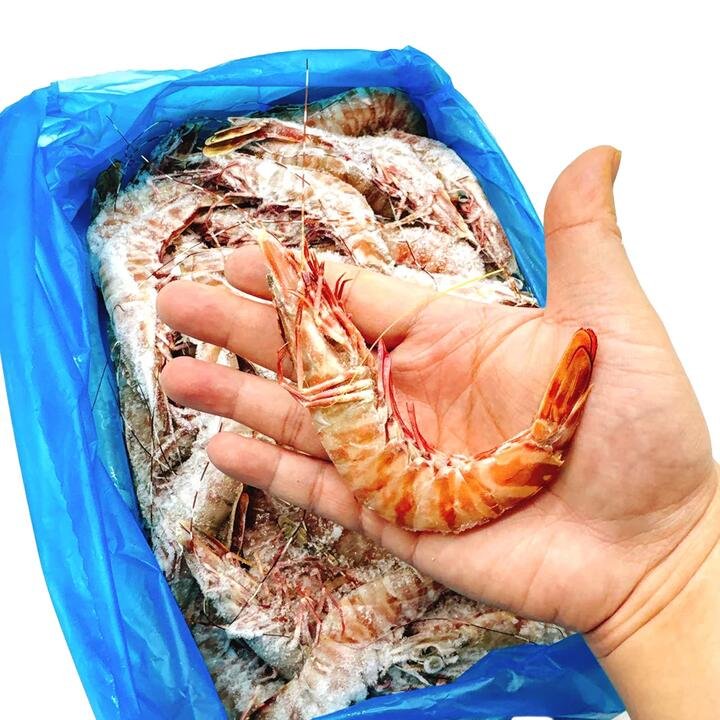 Tarni Brand Sashimi Grade Raw Brown Tiger Prawns Size 16/20 - 3kg