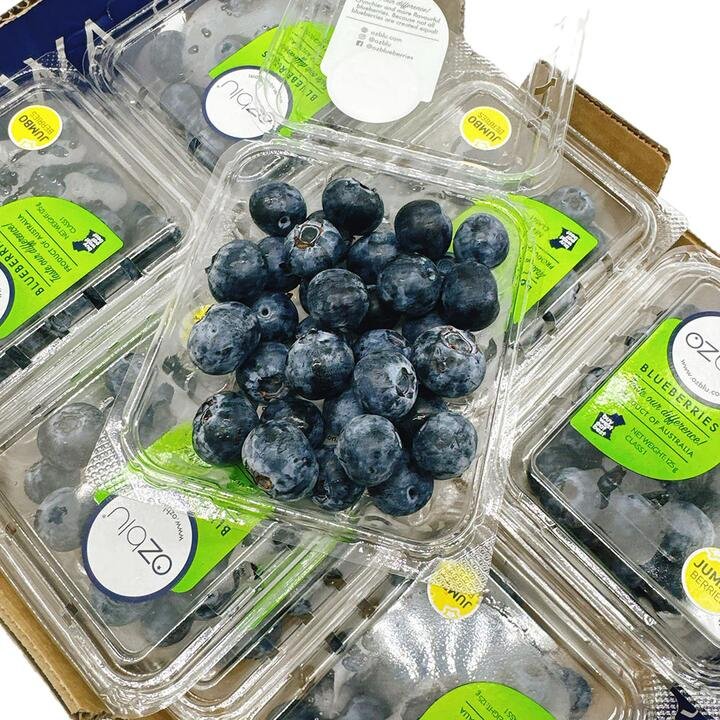 Ozblu Jumbo Blueberry - 1 box