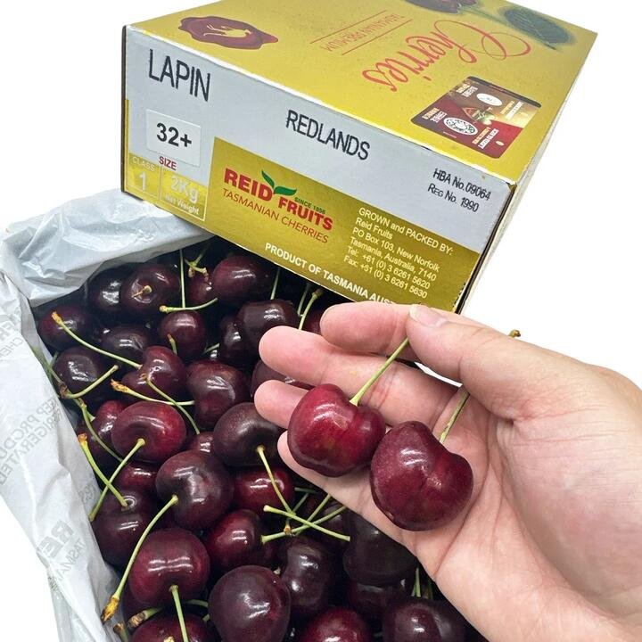 Reid Fruits Tasmanian Lapin Cherries Gift Box – 32mm+ 2kg Gourmet Grocer Reid Fruits Tasmanian Lapin Cherries Gift Box - 32mm+ 2kg