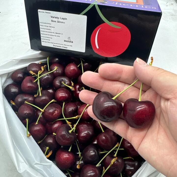 Tasmanian Lapin Cherries 32mm+ Gift Box – 2kg Gourmet Grocer Tasmanian Lapin Cherries 32mm+ Gift Box - 2kg