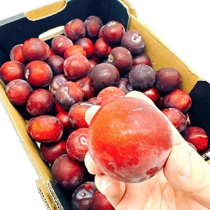 Premium Fresh Plums - 1kg