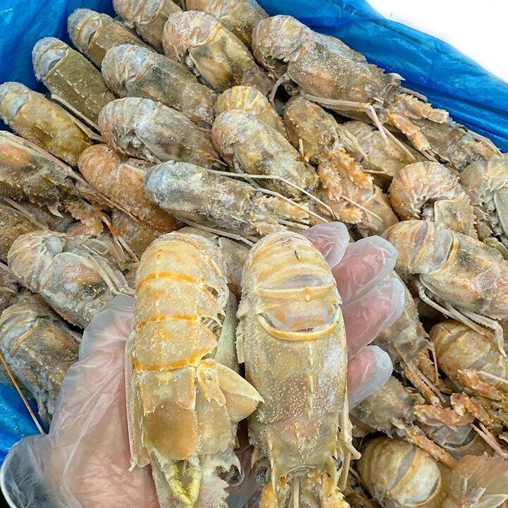 Ocean Caught Frozen Large Lobster Claws - 15 Pieces, 1kg