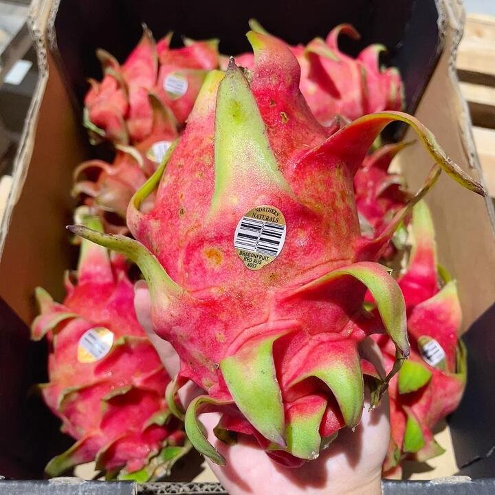 Queensland Red Heart Dragon Fruit – 1 Piece Gourmet Grocer Queensland Red Heart Dragon Fruit - 1 Piece