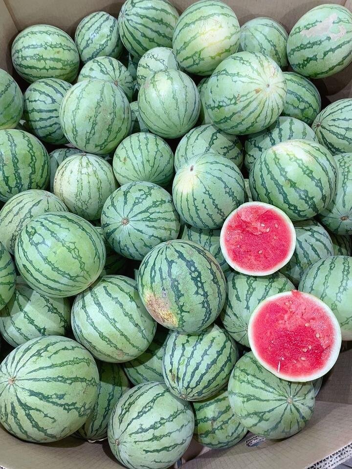 Sweet Sugar Baby Watermelon 2-3kg