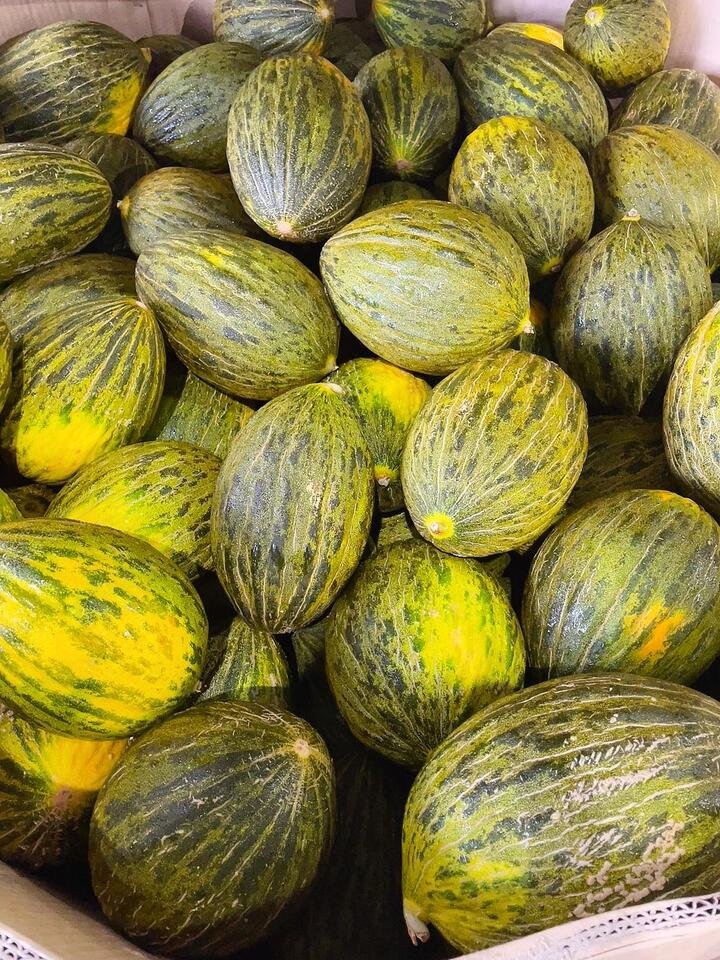 Small Christmas Melon - 1 Piece