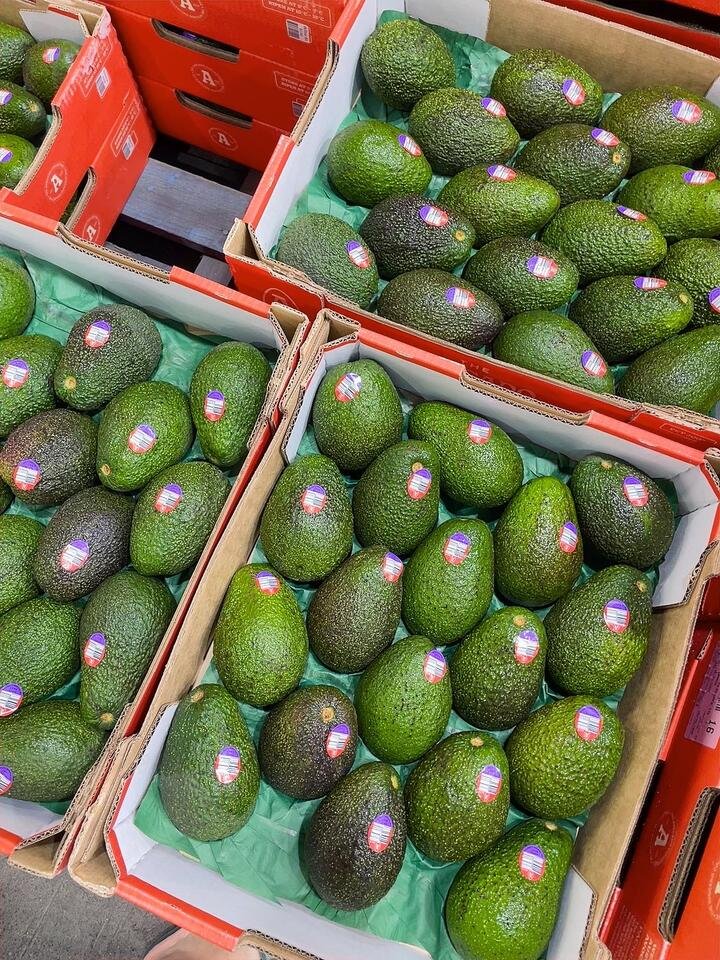 Avocados 500g
