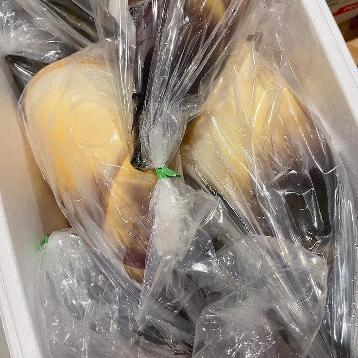 Fresh Black Bamboo Shoots - 1.4-1.5kg