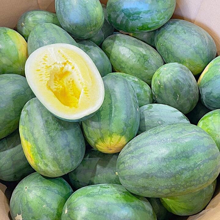Extra Large Yellow Flesh Watermelon - 1 Piece, 8kg+