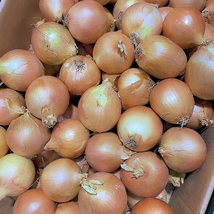 Brown Skin White Onions – 1kg Gourmet Grocer Brown Skin White Onions - 1kg