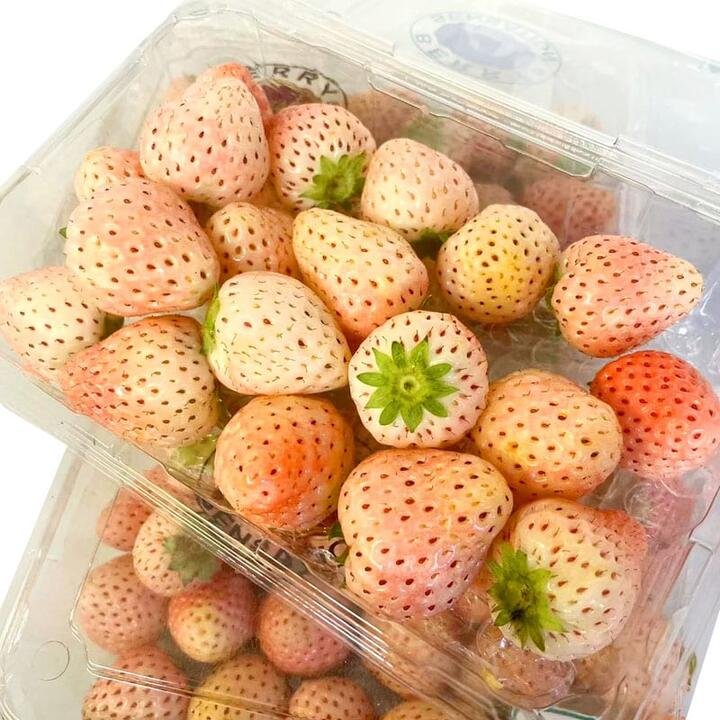 White Strawberries 1 Box 200g