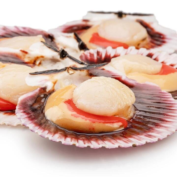 Hokkaido Scallop Half Shell - 1 Dozen
