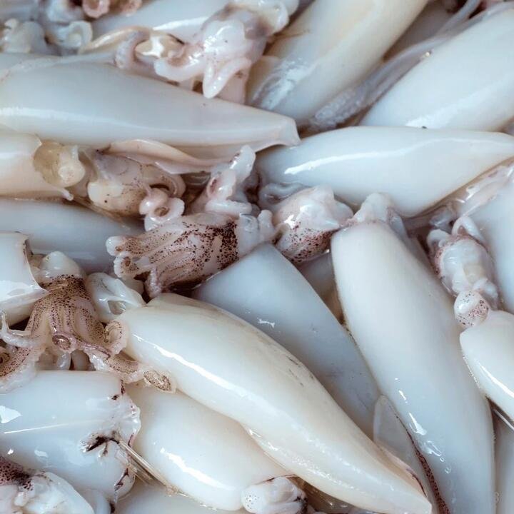 Frozen Whole Cleaned Squid - 1kg | (No Sunday Delivery)