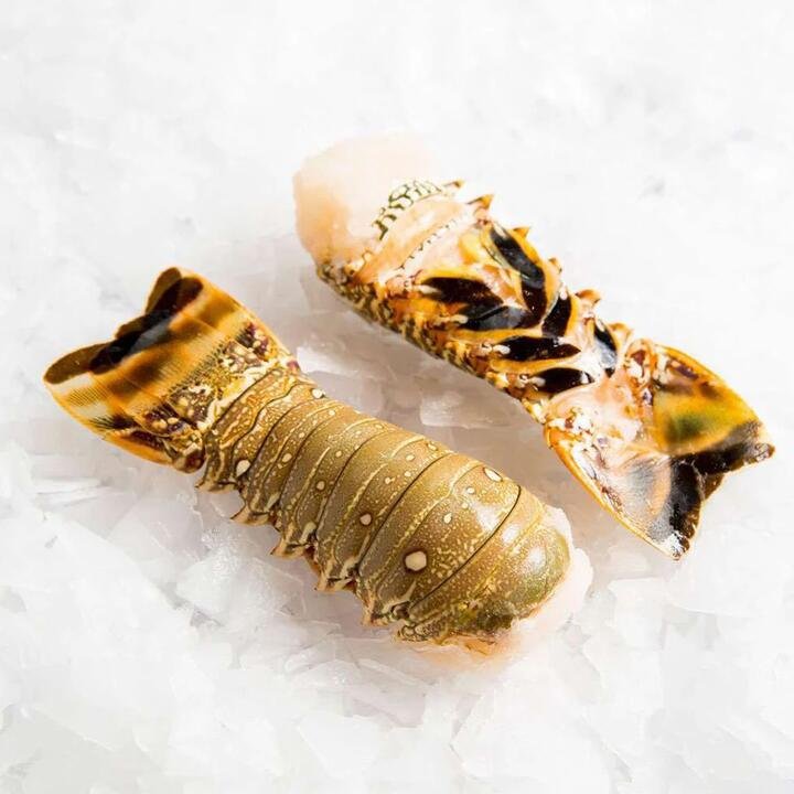 Frozen Tropical Lobster Tail - 120g | (No Sunday Delivery)