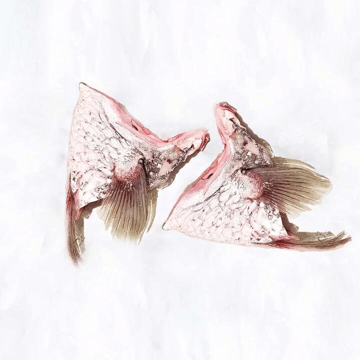 Frozen Barramundi Wings - 1kg | (No Sunday Delivery)