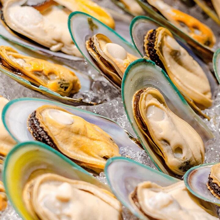 Frozen Half Shell New Zealand Mussels - 1kg | (No Sunday Delivery)