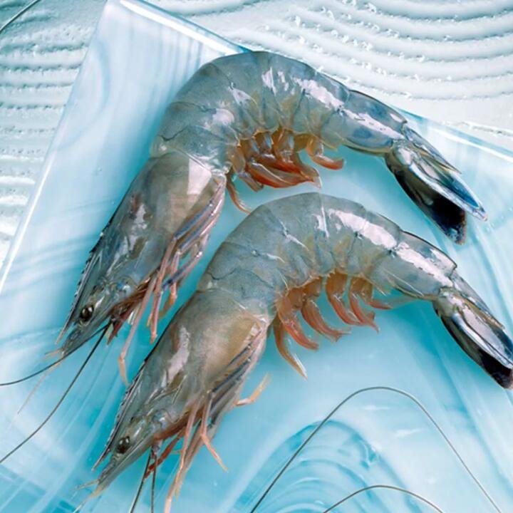 Paradise Prawns Large Size 26-30 Sashimi Grade - 1kg Box