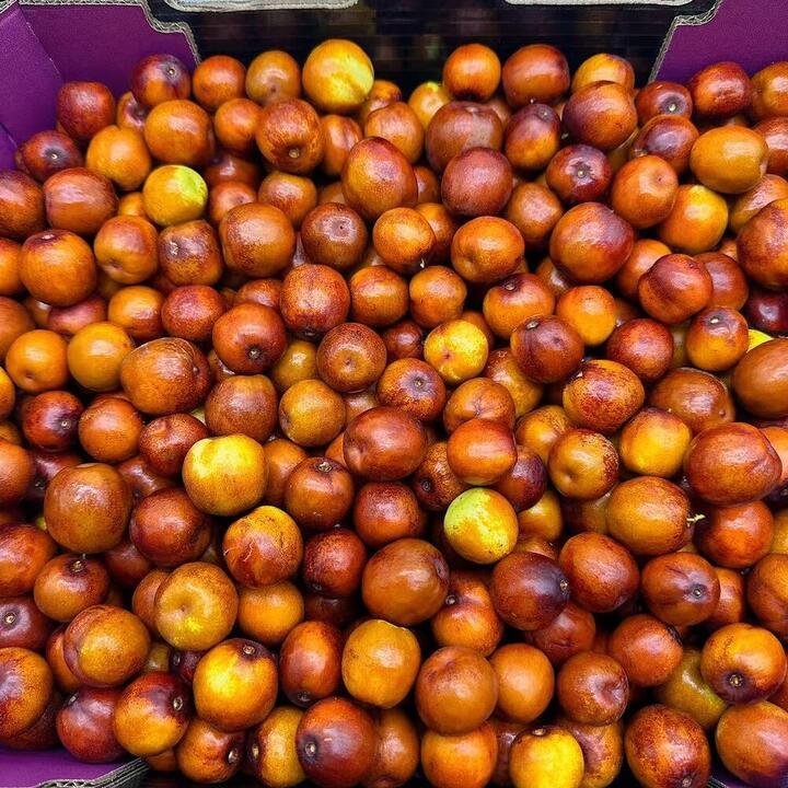 Luxury Candied Mini Jujubes - 500g