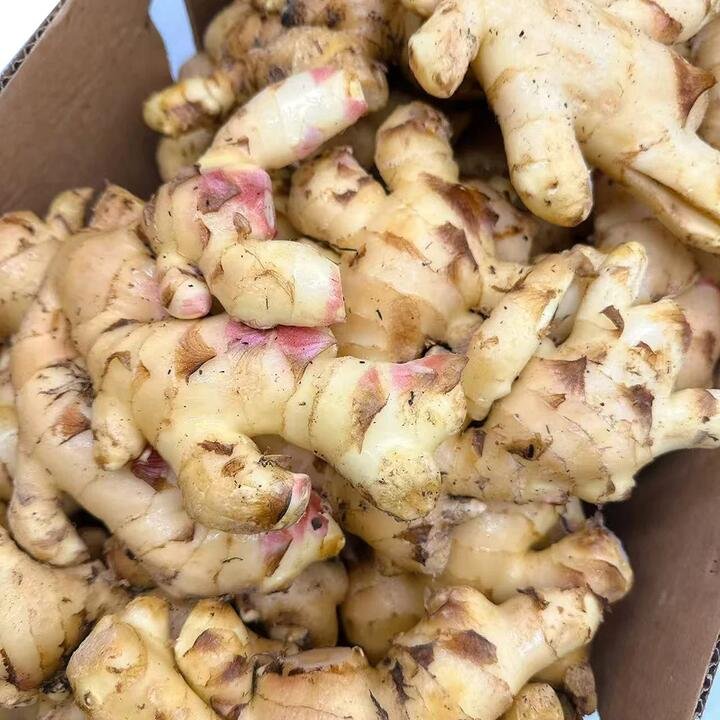 Fresh Young Ginger – 500g Gourmet Grocer Fresh Young Ginger - 500g