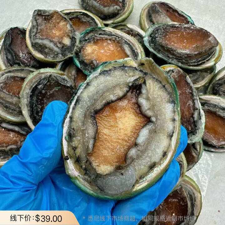 Frozen Tiger Abalone – 12 Pieces (Approx. 1 kg) - Wild-Caught Whole Shell-On Gourmet Seafood