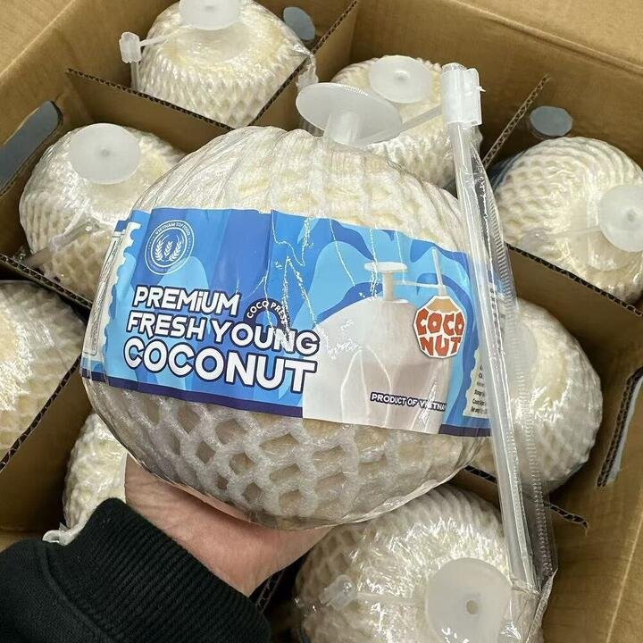 Premium Easy-Open Vietnamese Young Coconut (Large) – 1 Piece Gourmet Grocer Premium Easy-Open Vietnamese Young Coconut (Large) - 1 Piece