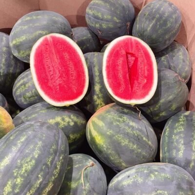 Extra Large Super Sweet Sand Melon - 6-7kg