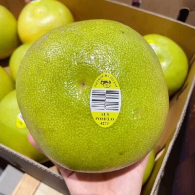 Large Australian Local Pomelo (also known as Shatian Pomelo) - 1 Piece