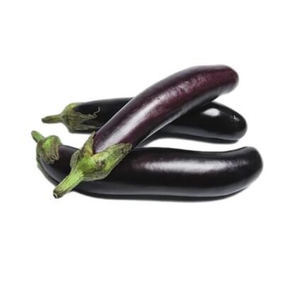 Lebanese Eggplant 500g