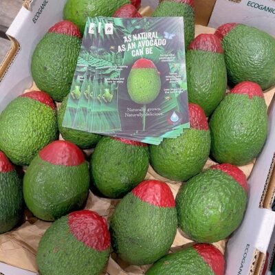 Ecoganic Organic Avocado – 1 Piece Gourmet Grocer Ecoganic Organic Avocado - 1 Piece