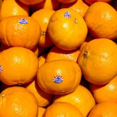 2PH Large Mikan Whole Box 9kg