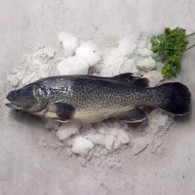 Murray Cod Whole Cleaned (Gutted & Descaled) - 600g