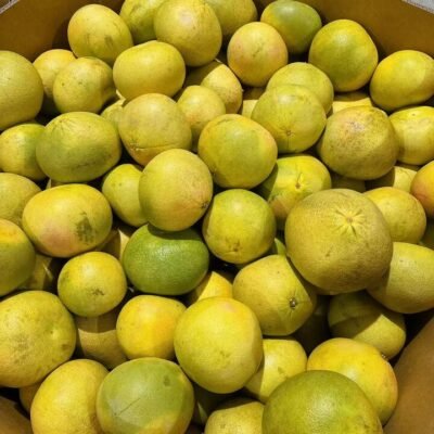 Queensland Red-Fleshed Shatian Pomelo – 1 Piece (1kg) Gourmet Grocer Queensland Red-Fleshed Shatian Pomelo - 1 Piece (1kg)