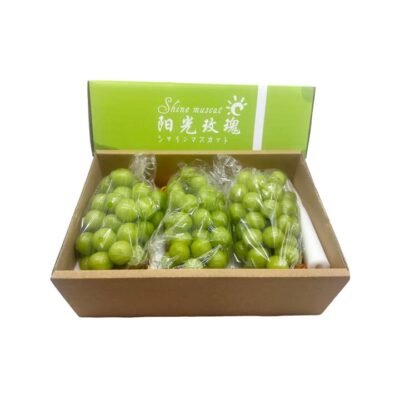 Shine Muscat Grapes – Air-Freighted from China, Box 2.5kg – Sunshine Rose Seedless Green Grapes Gourmet Grocer Shine Muscat Grapes – Air-Freighted from China, Box 2.5kg - Sunshine Rose Seedless Green Grapes