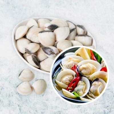 Frozen IQF Whole White Clams Size 20/40 – 900g