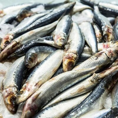 Frozen Australian Sardines 1kg