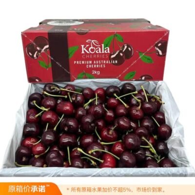 Koala Cherries Sequoia Premium Australian Cherries 30–32mm Gift Box – 2kg Gourmet Grocer Koala Cherries Sequoia Premium Australian Cherries 30–32mm Gift Box - 2kg