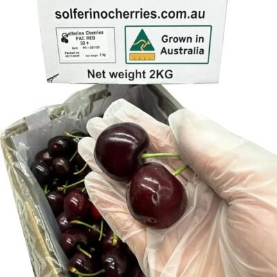 Solferino Pac Red Australian Cherries 32mm+ Gift Box – 2kg Gourmet Grocer Solferino Pac Red Australian Cherries 32mm+ Gift Box – 2kg